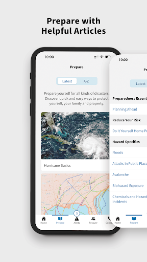 FEMA screenshot