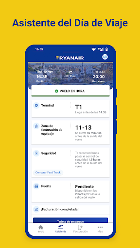 Captura de pantalla de Ryanair