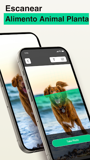 Captura de pantalla de Safe QR Barcode OCR AI Scanner