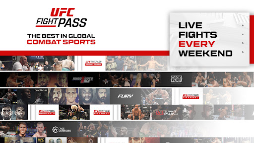 UFC screenshot