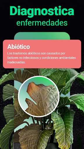 Captura de pantalla de Plantum - Identificar plantas