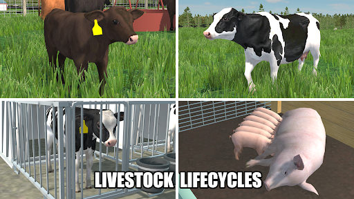 Captura de pantalla de American Farming