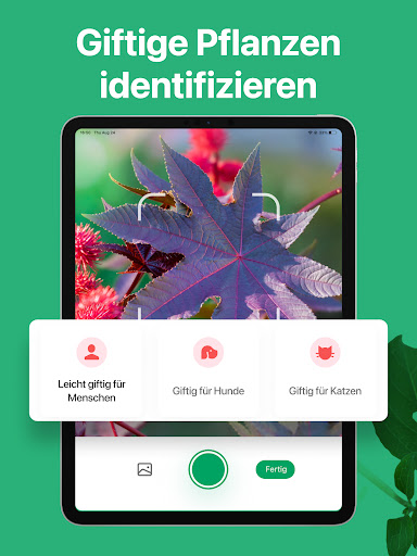 PictureThis:Pflanzen bestimmen Screenshot