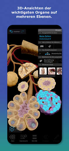 Atlas der Humananatomie 2026 Screenshot