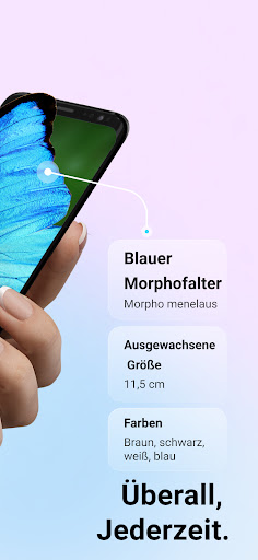 Picture Insect - Insekten ID Screenshot
