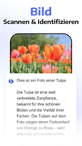 Chatbot Assistant - AI Seek Screenshot