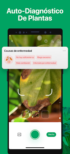 Captura de pantalla de PictureThis Identificar Planta
