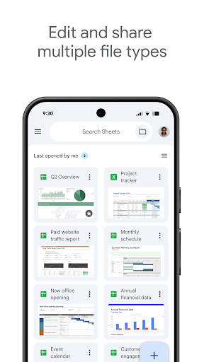 Captura de pantalla de Hojas de cálculo de Google