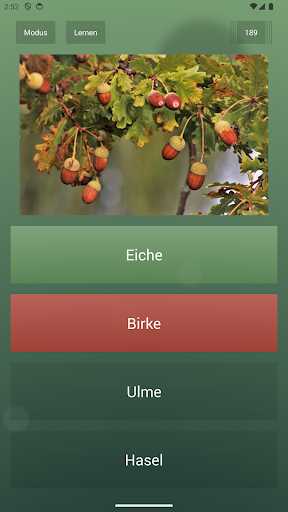 Endlos-Quiz Pro Screenshot