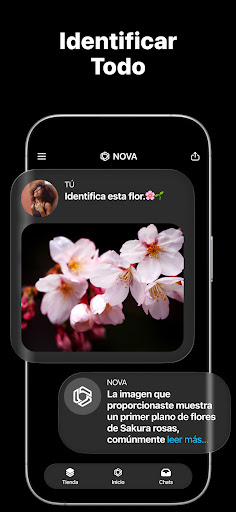 Captura de pantalla de Chatbot IA Español - Nova
