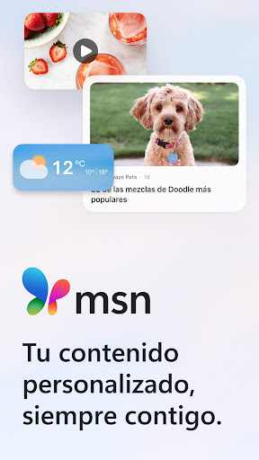 Captura de pantalla de MSN