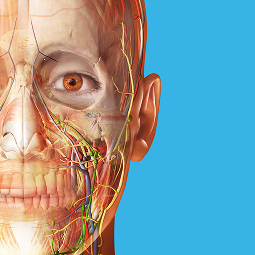 Atlas de anatomía humana 2026