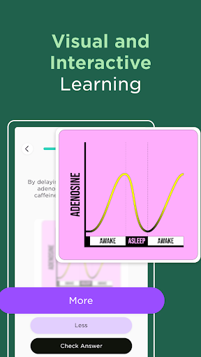 Imprint: Learn Visually screenshot