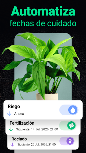 Captura de pantalla de Plantum - Identificar plantas