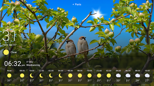 Captura de pantalla de Fondos Animados del Clima