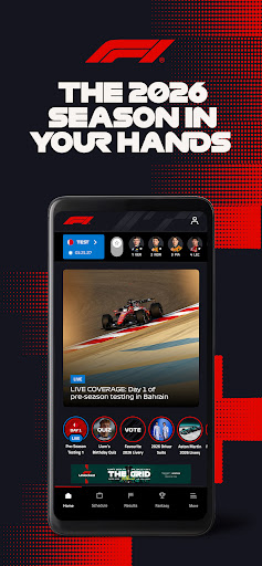 Formula 1® screenshot