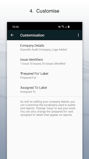 Captura de pantalla de Site Audit Pro