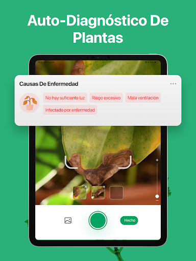 Captura de pantalla de PictureThis Identificar Planta