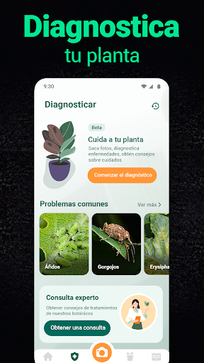 Captura de pantalla de Plantum - Identificar plantas