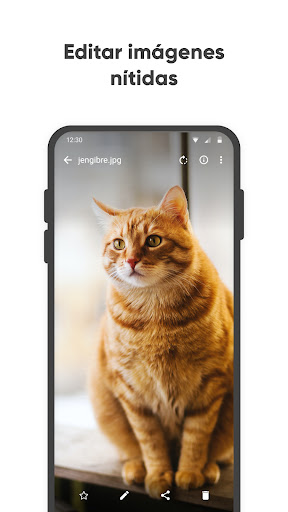 Captura de pantalla de Galería Simple Pro