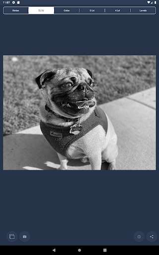 Captura de pantalla de NotanIzer