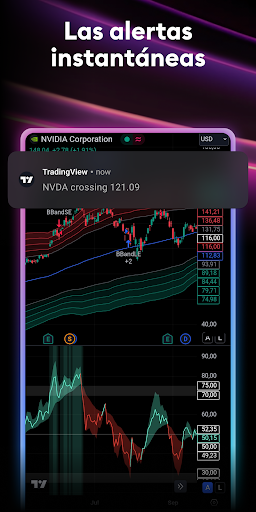 Captura de pantalla de TradingView - Bolsa de Valores