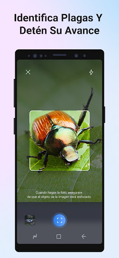 Captura de pantalla de Picture Insect - Insectos ID