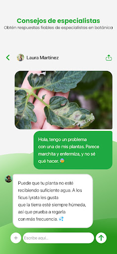 Captura de pantalla de PlantApp: Identifica plantas