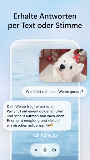 Microsoft Bing Suche Screenshot