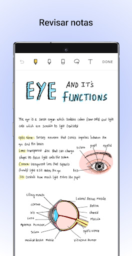 Captura de pantalla de Noteshelf - Notas, Anotaciones