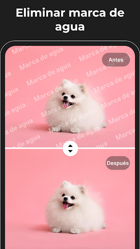 Captura de pantalla de Borrador Mágico - Eliminar