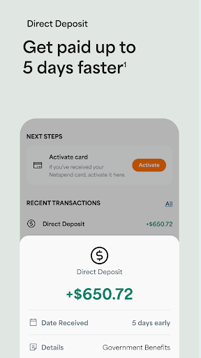 Captura de pantalla de Netspend