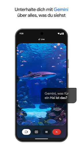 Google Gemini Screenshot