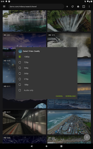 Video Downloader Pro screenshot