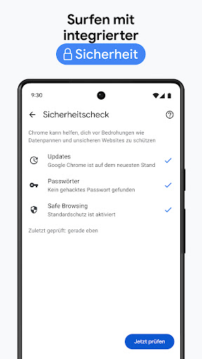 Google Chrome Screenshot