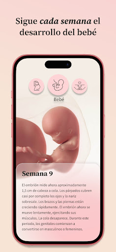 Captura de pantalla de Embarazo | Preglife