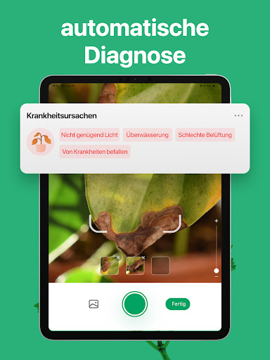 PictureThis:Pflanzen bestimmen Screenshot