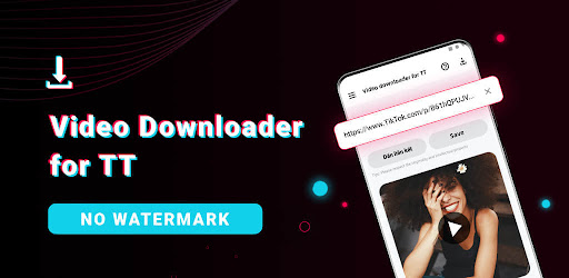 Video Downloader für TT Screenshot