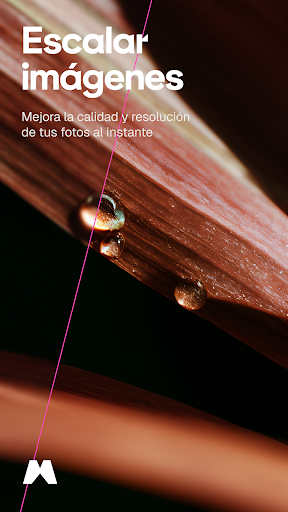 Captura de pantalla de Magnific: Vídeo e Imagen IA