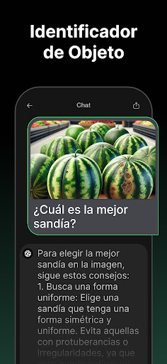 Captura de pantalla de Chatbot App - Asistente de IA