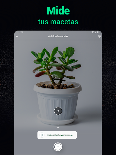 Captura de pantalla de Plantum - Identificar plantas