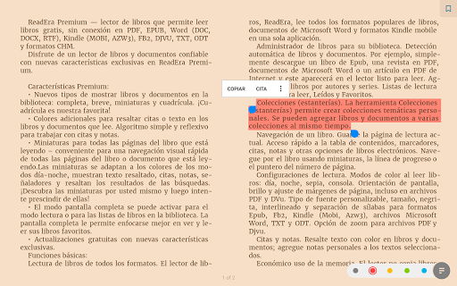 Captura de pantalla de ReadEra Premium