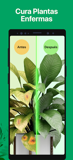 Captura de pantalla de PictureThis Identificar Planta