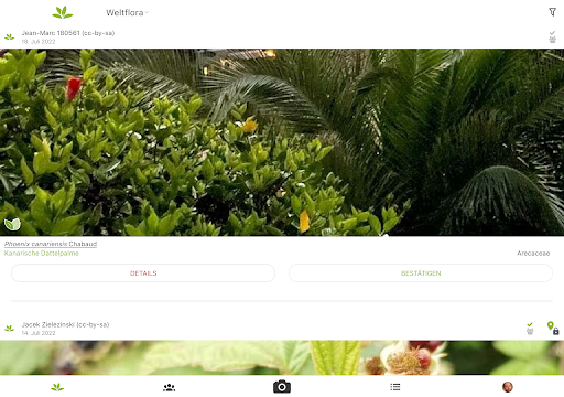 Pl@ntNet Pflanzenbestimmung Screenshot