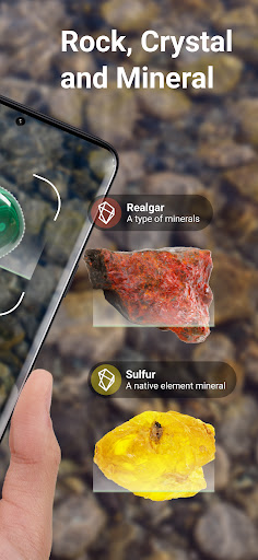 Rock Identifier: Stone ID screenshot