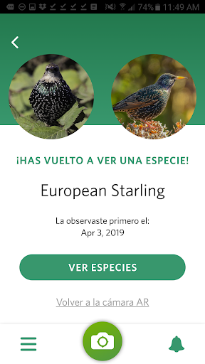 Captura de pantalla de Seek, por iNaturalist