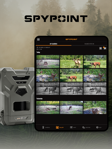 SPYPOINT screenshot