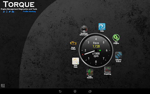 Captura de pantalla de Torque Pro (OBD2 / coche)
