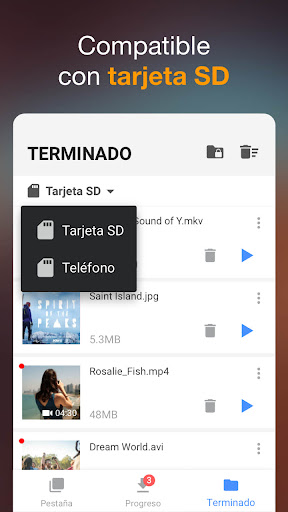 Captura de pantalla de Descargador de vídeos