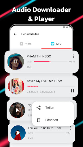 Video Downloader für TT Screenshot